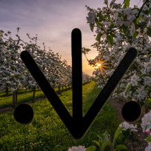 Load image into Gallery viewer, Sigil of Healing
