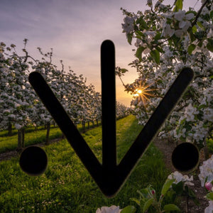 Sigil of Healing